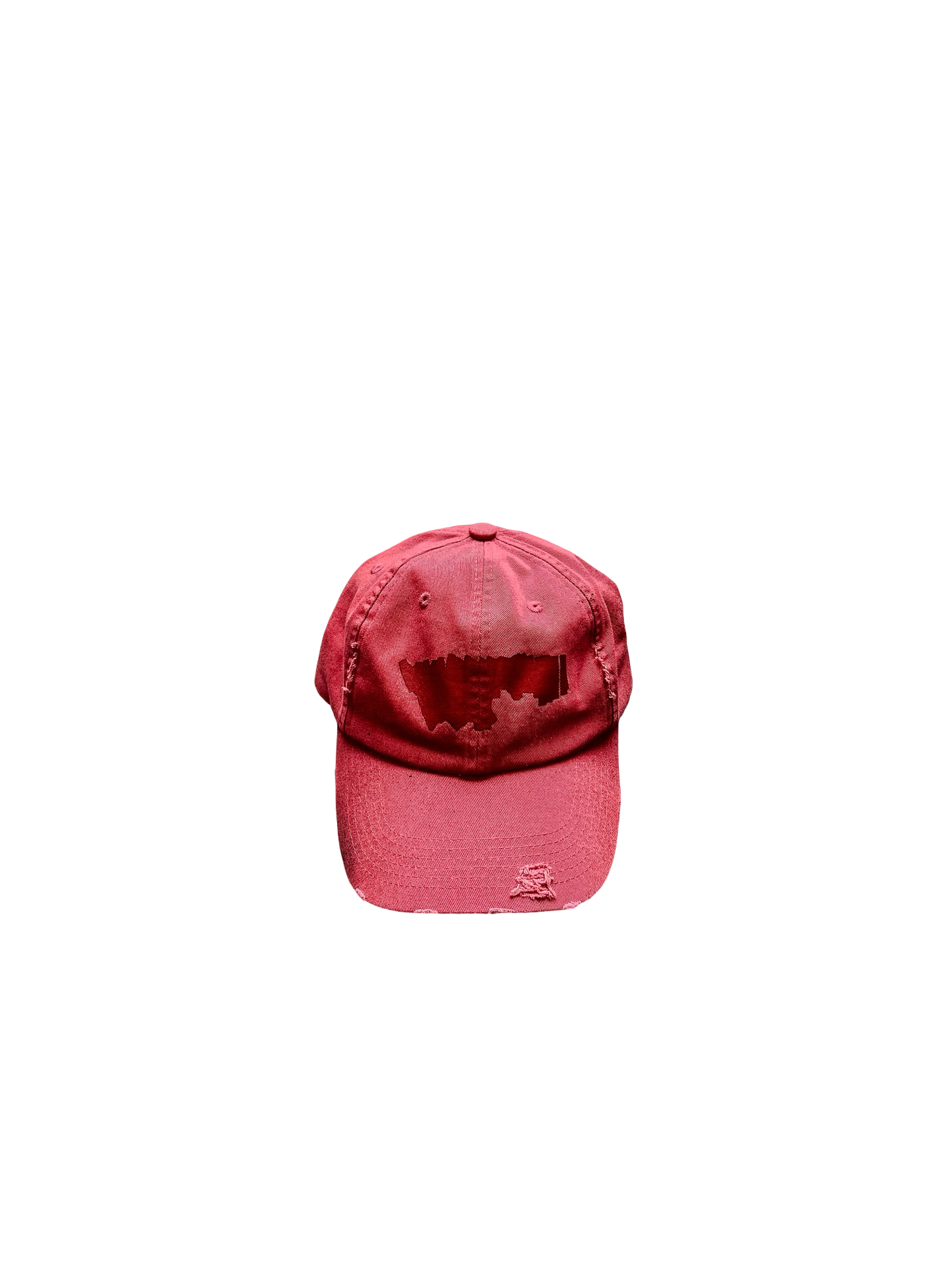 ANT/ANTI Buffing Hat