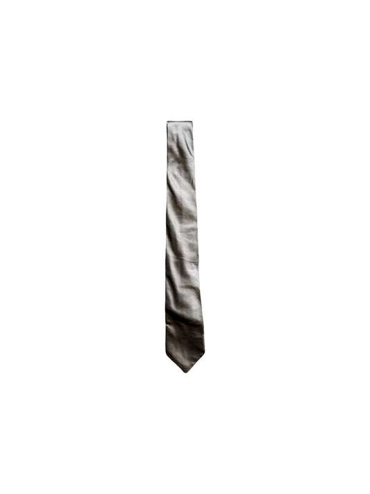 Dior Homme by Hedi Slimane Metallic Tie