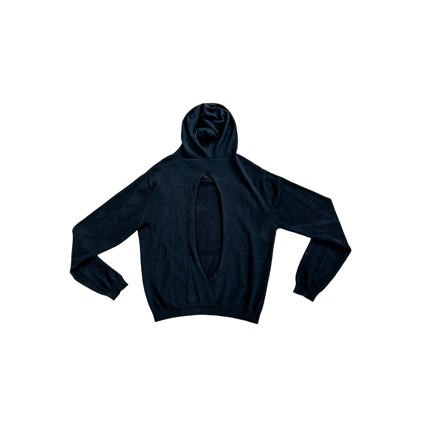 Alexander Digenova Sample Cut Out Hoodie